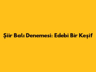 Şiir Balı Denemesi: Edebi Bir Keşif