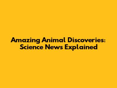 Amazing Animal Discoveries: Science News Explained