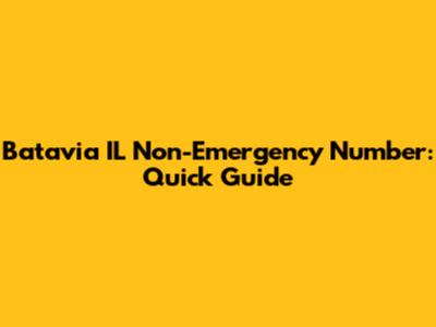 Batavia IL Non-Emergency Number: Quick Guide