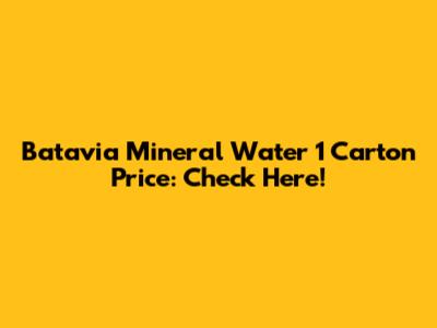 Batavia Mineral Water 1 Carton Price: Check Here!