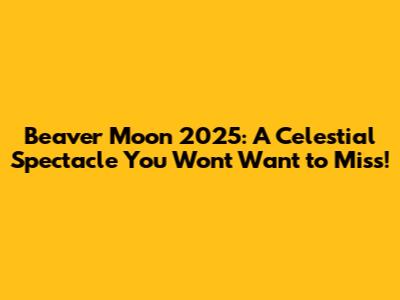 Beaver Moon 2025: A Celestial Spectacle You Won't Want to Miss!