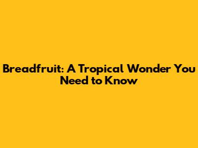 Breadfruit: A Tropical Wonder You Need to Know