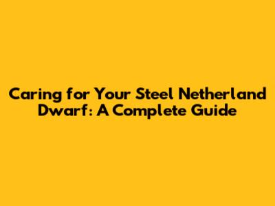 Caring for Your Steel Netherland Dwarf: A Complete Guide