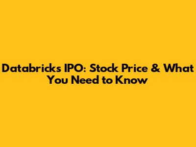 Databricks IPO: Stock Price & What You Need to Know
