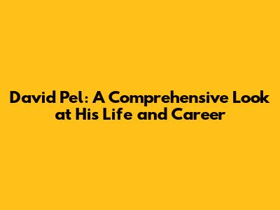 David Pel: A Comprehensive Look at His Life and Career