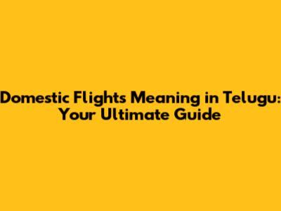 Domestic Flights Meaning in Telugu: Your Ultimate Guide