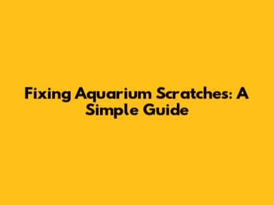 Fixing Aquarium Scratches: A Simple Guide