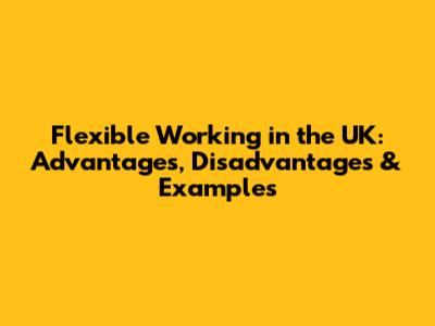 Flexible Working in the UK: Advantages, Disadvantages & Examples