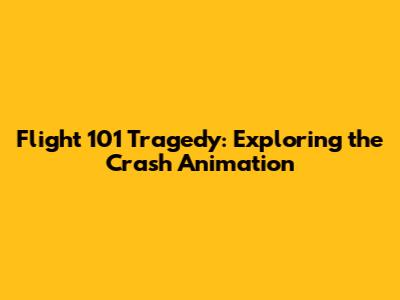 Flight 101 Tragedy: Exploring the Crash Animation