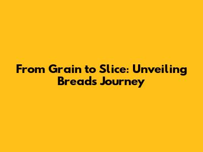 From Grain to Slice: Unveiling Bread's Journey