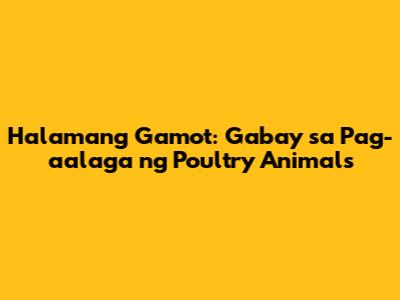 Halamang Gamot: Gabay sa Pag-aalaga ng Poultry Animals