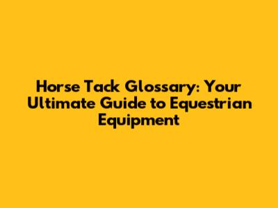 Horse Tack Glossary: Your Ultimate Guide to Equestrian Equipment