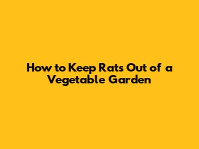 How to Keep Rats Out of a Vegetable Garden