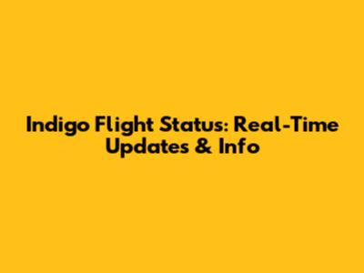 Indigo Flight Status: Real-Time Updates & Info