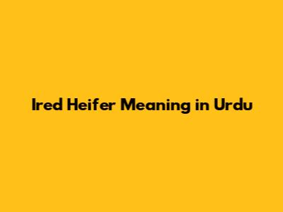 Ired Heifer Meaning in Urdu