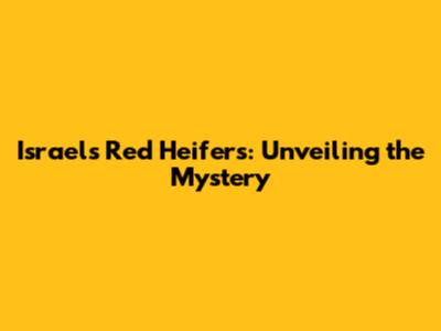 Israel's Red Heifers: Unveiling the Mystery