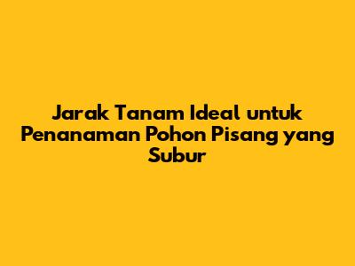 Jarak Tanam Ideal untuk Penanaman Pohon Pisang yang Subur