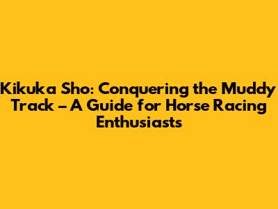 Kikuka Sho: Conquering the Muddy Track – A Guide for Horse Racing Enthusiasts