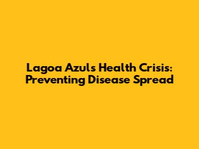 Lagoa Azul's Health Crisis: Preventing Disease Spread