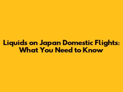 Liquids on Japan Domestic Flights: What You Need to Know
