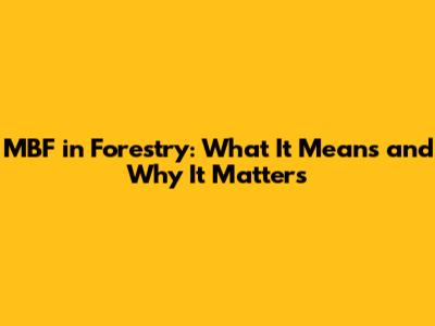 MBF in Forestry: What It Means and Why It Matters