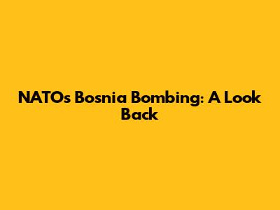 NATO's Bosnia Bombing: A Look Back