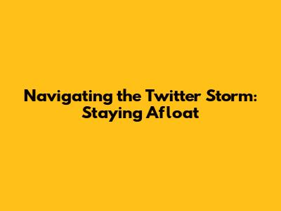 Navigating the Twitter Storm: Staying Afloat