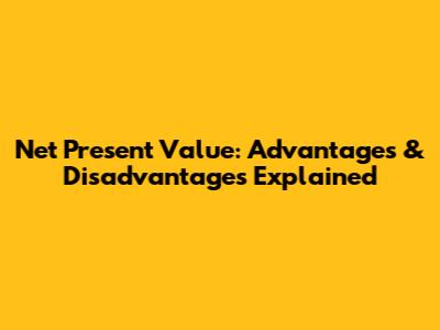 Net Present Value: Advantages & Disadvantages Explained