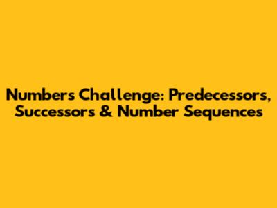 Numbers Challenge: Predecessors, Successors & Number Sequences