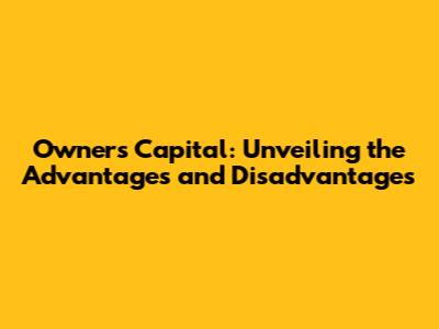 Owner's Capital: Unveiling the Advantages and Disadvantages