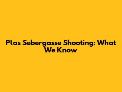 Plas Sebergasse Shooting: What We Know