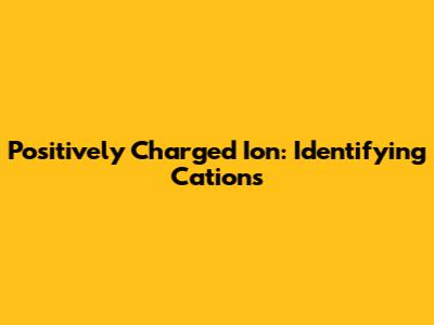 Positively Charged Ion: Identifying Cations
