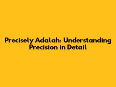 Precisely Adalah: Understanding Precision in Detail