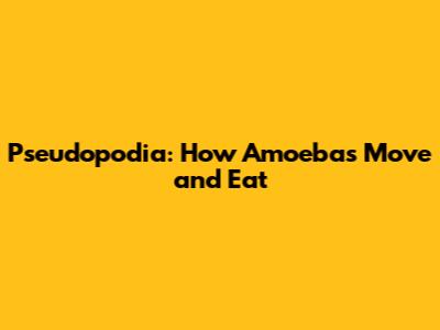Pseudopodia: How Amoebas Move and Eat