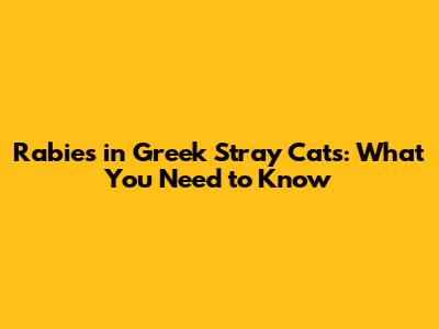 Rabies in Greek Stray Cats: What You Need to Know