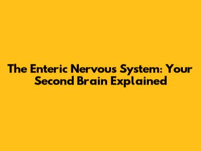 The Enteric Nervous System: Your Second Brain Explained