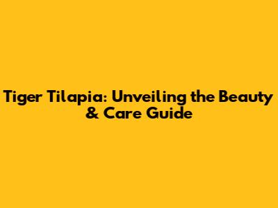 Tiger Tilapia: Unveiling the Beauty & Care Guide