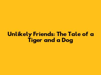 Unlikely Friends: The Tale of a Tiger and a Dog