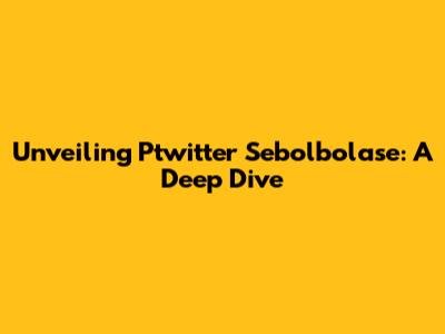 Unveiling Ptwitter Sebolbolase: A Deep Dive