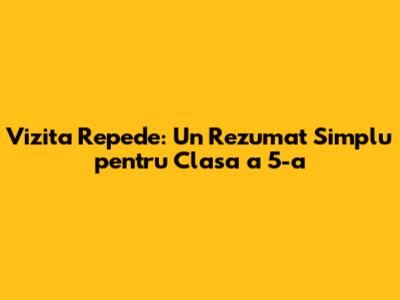 Vizita Repede: Un Rezumat Simplu pentru Clasa a 5-a